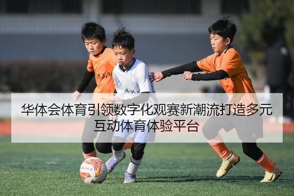华体会体育引领数字化观赛新潮流打造多元互动体育体验平台